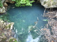 Highlight for Album: Cave and Basin