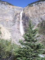 Highlight for Album: Takakkaw Falls