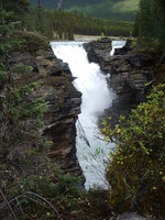 Highlight for Album: Athabasca Falls
