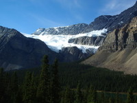 Highlight for Album: Crow's Foot Glacier