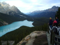 Highlight for Album: Peyto Lake
