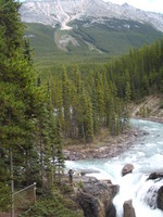 Highlight for Album: Sunwapta Falls